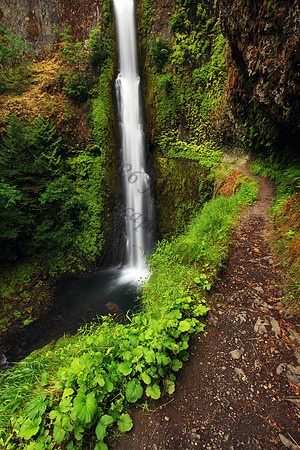 Tunnel Falls, located in Eagle Creek, Columbia River Gorge, Oregon