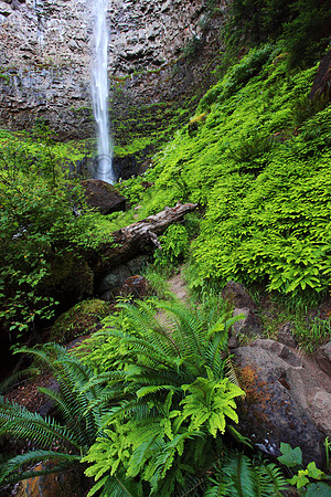 Watson Falls, Umpqua National Forest, Oregon, waterfall