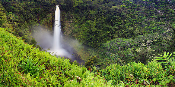 Magnificent Akaka waterfall in Honomu Hawaii Big Island