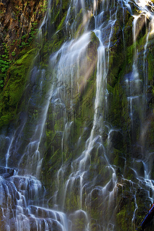 Oregon, "Three Sisters", "Three Sisters Wilderness", "Proxy Falls", "Upper Proxy Falls", waterfall, Proxy