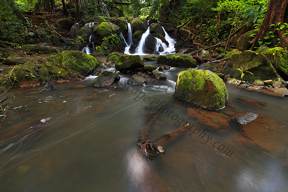 Small waterfall Nuuanu Jackass Ginger Judd Trail Oahu Hawaii