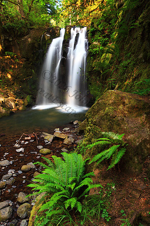 Majestic Falls  waterfall McDowell Creek State Park Oregon