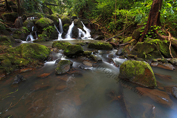 Small waterfall Nuuanu Jackass Ginger Judd Trail Oahu Hawaii