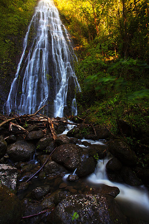 Waterfall, Luaalaea Falls, Manoa Valley, Oahu, Honolulu, Hawaii