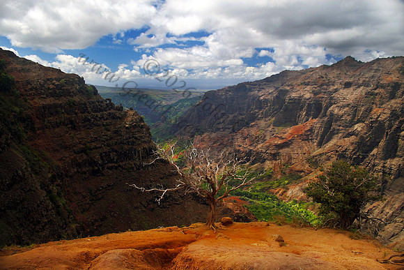 Waimea Canyon Grand Canyon of Pacific Kokee State Park Kauai Hawaii