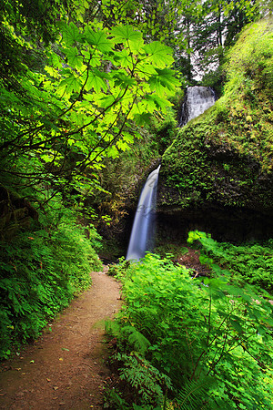 Latourell Falls in the Columbia River Gorge, Oregon