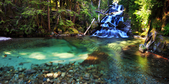 Chenius Falls, located in Carbon River of Mount Ranier National Park