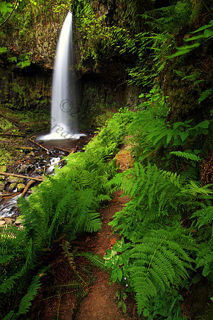 Latourell Falls in the Columbia River Gorge, Oregon