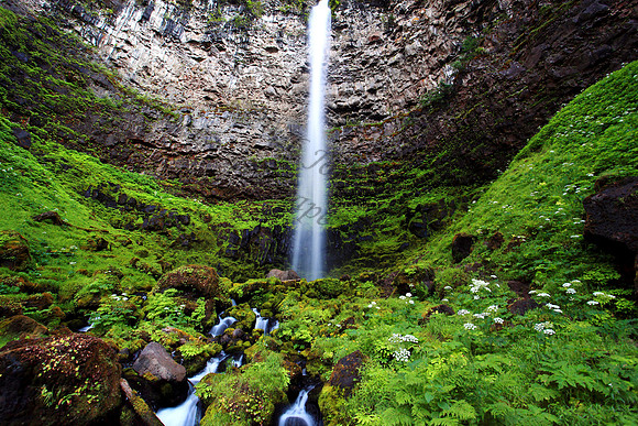 Watson Falls, Umpqua National Forest, Oregon, waterfall