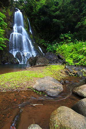 Secret waterfall in Nuuanu on Oahu Hawaii