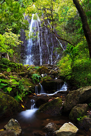Hamama Waterfall in Waihee Valley, Oahu Hawaii