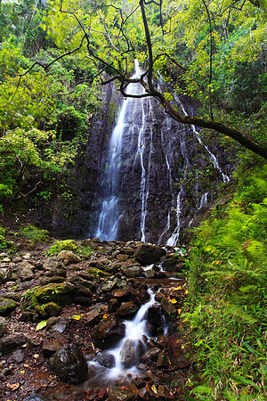 Hamama Waterfall in Waihee Valley, Oahu Hawaii