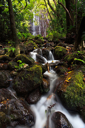 Hamama Waterfall in Waihee Valley, Oahu Hawaii