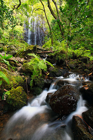 Hamama Waterfall in Waihee Valley, Oahu Hawaii