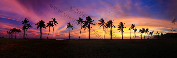 Colorful sunset over palm trees in Maili Honolulu Oahu Hawaii