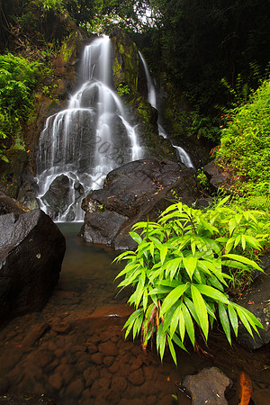 Secret waterfall in Nuuanu on Oahu Hawaii