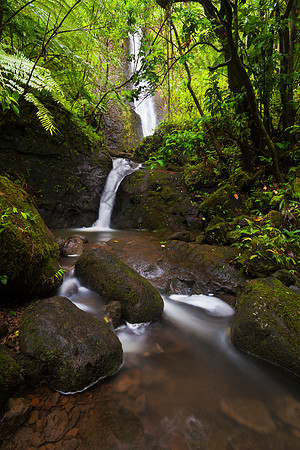Waterfall Manoa Valley Honolulu Oahu Hawaii