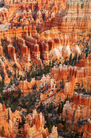 Bryce Canyon National Park — fine art photograph titled Terracotta Warriors