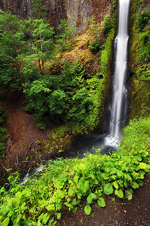Tunnel Falls, located in Eagle Creek, Columbia River Gorge, Oregon