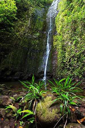 Small waterfall in Nuuanu Valley Oahu Hawaii ferns