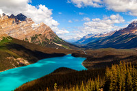 Peyto Lake — fine art photograph titled Peyto Perfection
