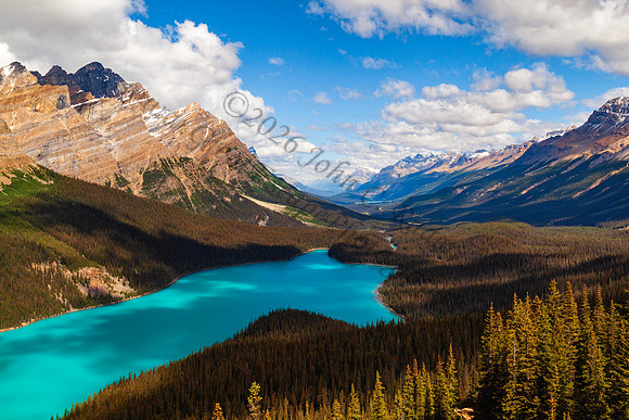 Peyto Lake — fine art photograph titled Peyto Perfection
