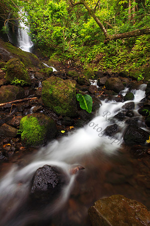 Likeke Waterfall with ferns on Oahu Hawaii