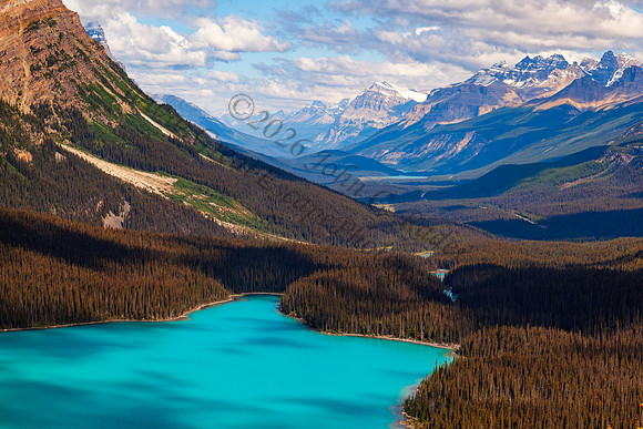 Peyto Lake — fine art photograph titled Peyto Perfection