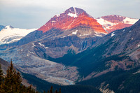 Peyto Peak — fine art photograph titled Icefields Incarnate