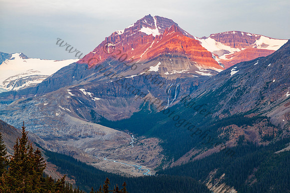 Peyto Peak — fine art photograph titled Icefields Incarnate