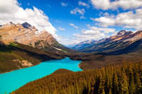 Peyto Lake — fine art photograph titled Peyto Perfection
