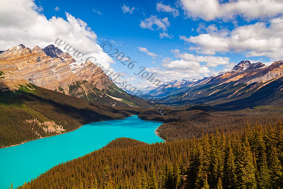 Peyto Lake — fine art photograph titled Peyto Perfection
