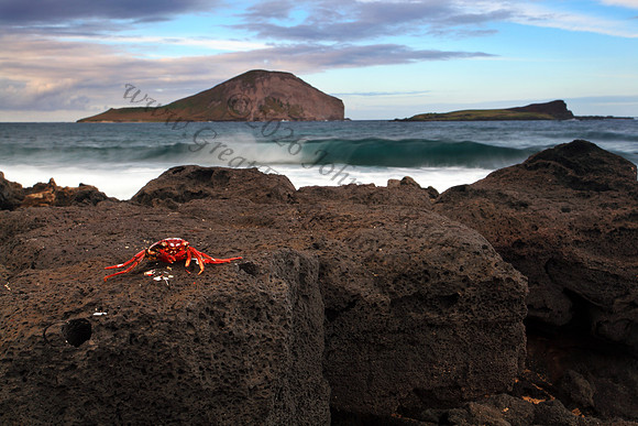 Sunset and waves over Manana and Kaohikaipu Islands, or Rabbit and Flat Islands, near Makapuu Oahu Hawaii