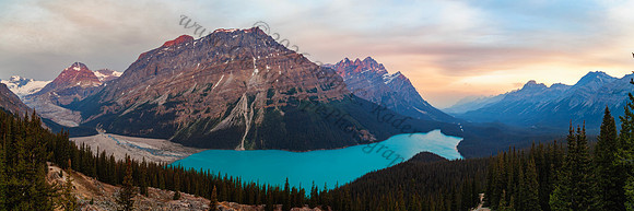 Peyto Lake — fine art photograph titled Peyto Perfection