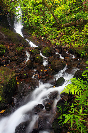 Likeke Waterfall with ferns on Oahu Hawaii