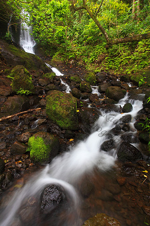 Likeke Waterfall with ferns on Oahu Hawaii