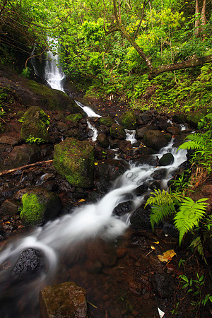 Likeke Waterfall with ferns on Oahu Hawaii