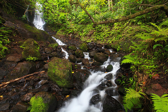 Likeke Waterfall with ferns on Oahu Hawaii