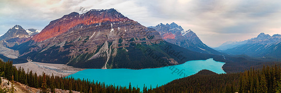 Peyto Lake — fine art photograph titled Peyto Perfection