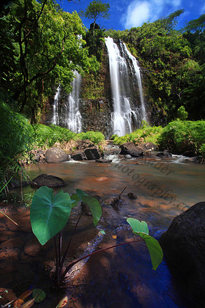 Opaekaa Waterfall on Kauai Hawaii