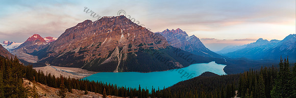 Peyto Lake — fine art photograph titled Peyto Perfection