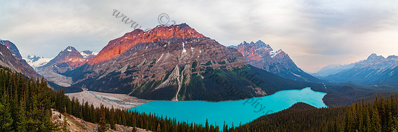 Peyto Lake — fine art photograph titled Peyto Perfection