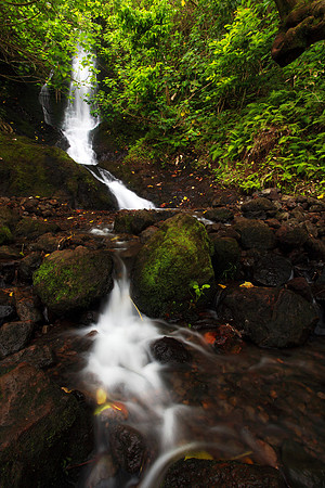 Likeke Waterfall with ferns on Oahu Hawaii