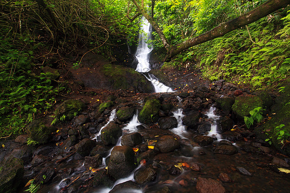 Likeke Waterfall with ferns on Oahu Hawaii