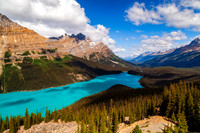Peyto Lake — fine art photograph titled Peyto Perfection