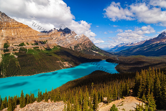 Peyto Lake — fine art photograph titled Peyto Perfection