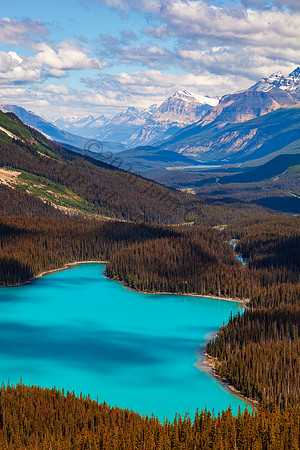 Peyto Lake — fine art photograph titled Peyto Perfection