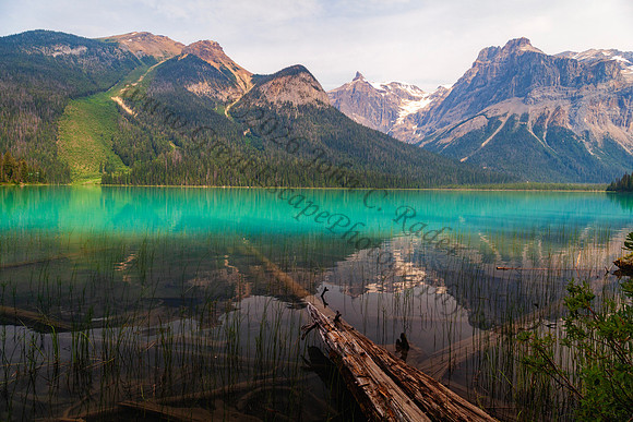 Emerald Lake in Yoho Natonal Park — fine art photograph titled Diamond and Emeralds
