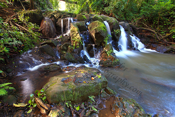 Small waterfall Nuuanu Jackass Ginger Judd Trail Oahu Hawaii