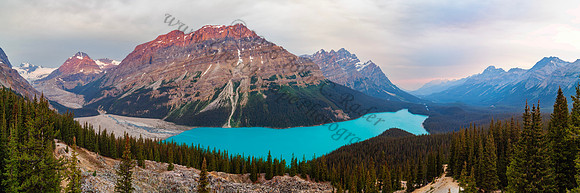 Peyto Lake — fine art photograph titled Peyto Perfection